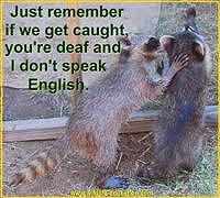 new-coonsdeafth-6582f683e6721.jpg