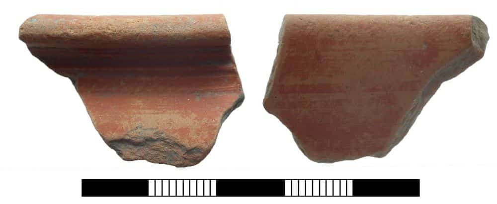 Two rim sherds of orange-red Roman Oxfordshire colour-coated pottery photographed with a centimetre scale