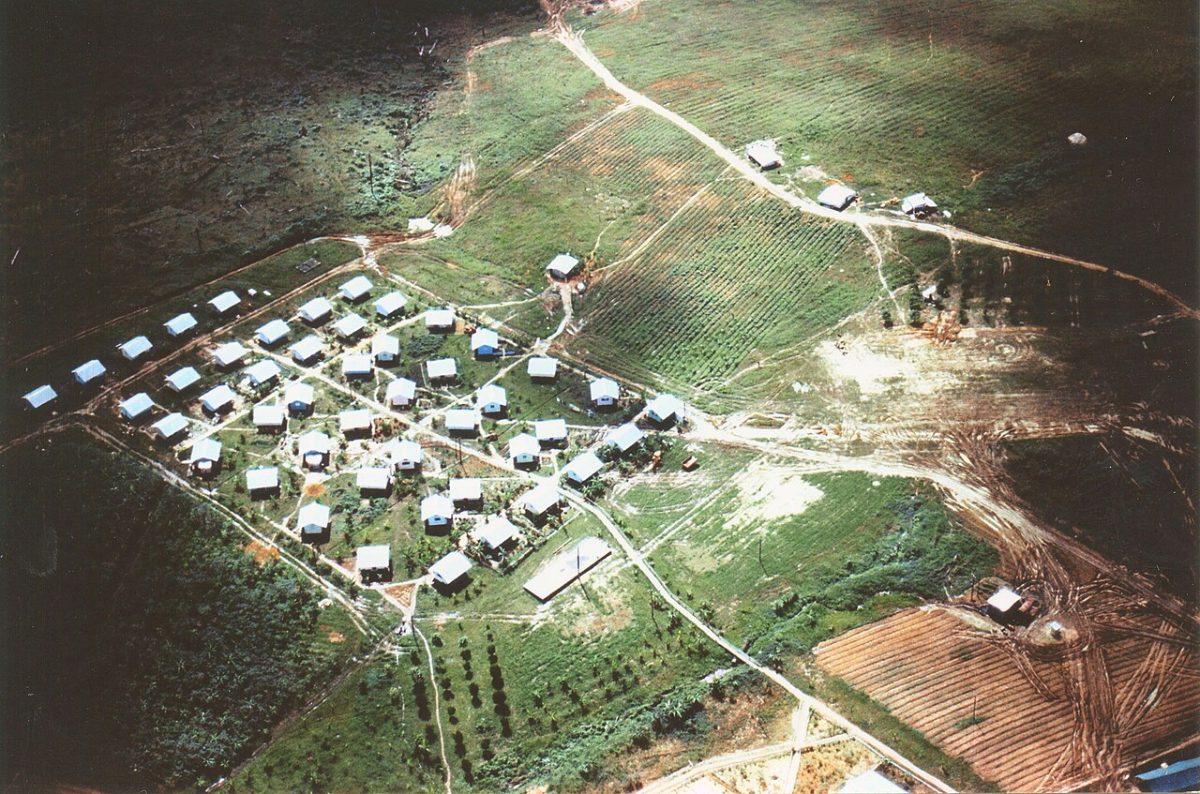 Aerial photograph of rows of small cottages with pale roofs at Jonestown, set among cultivated plots and dirt paths