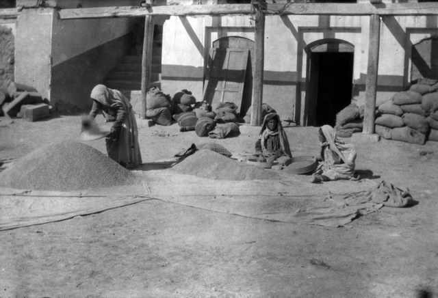 Women working over large heaps of grain spread on cloths in a courtyard, with filled sacks stacked against the building behind them
